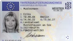 Professional driver’s licence